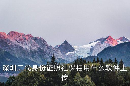 深圳社保局官網軟件，深圳市企業社保網上服務系統