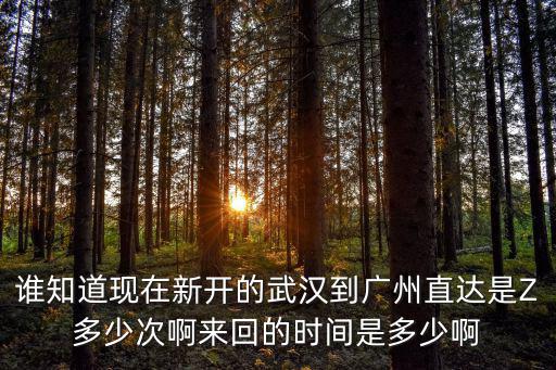 武漢朋友幾時(shí)能回廣州上班，誰(shuí)知道現(xiàn)在新開(kāi)的武漢到廣州直達(dá)是Z多少次啊來(lái)回的時(shí)間是多少啊