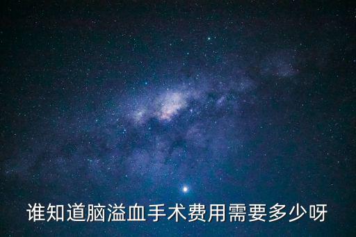 誰知道腦溢血手術費用需要多少呀