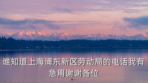 誰知道上海浦東新區(qū)勞動局的電話我有急用謝謝各位