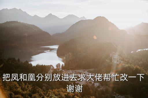 把鳳和凰分別放進去求大佬幫忙改一下 謝謝