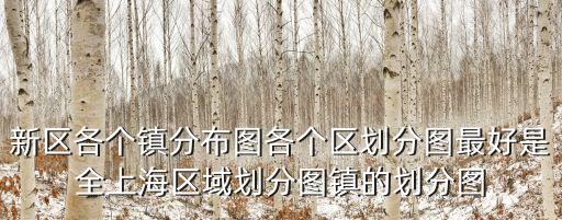 新區各個鎮分布圖各個區劃分圖最好是全上海區域劃分圖鎮的劃分圖