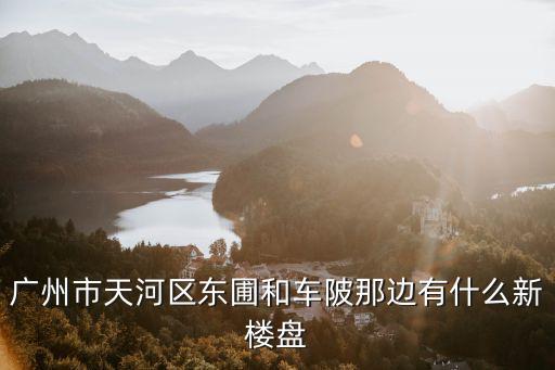 廣州市天河區東圃和車陂那邊有什么新樓盤