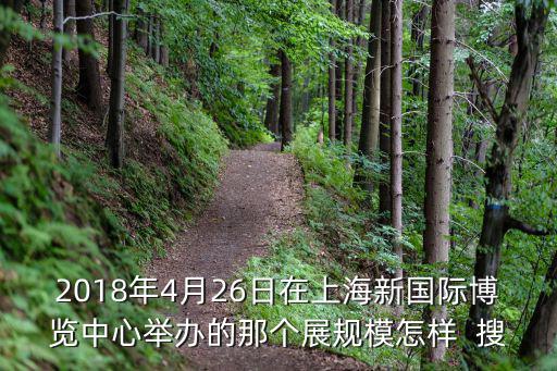2018年4月26日在上海新國際博覽中心舉辦的那個展規(guī)模怎樣  搜