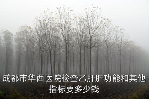 成都市華西醫院檢查乙肝肝功能和其他指標要多少錢