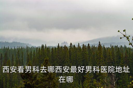 西安看男科去哪西安最好男科醫(yī)院地址在哪