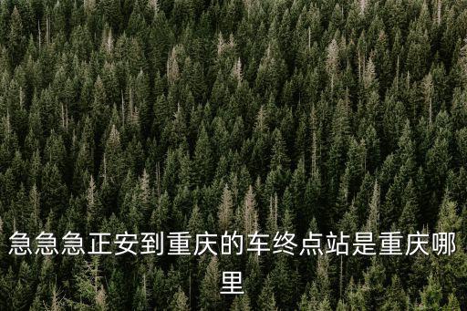 急急急正安到重慶的車終點站是重慶哪里