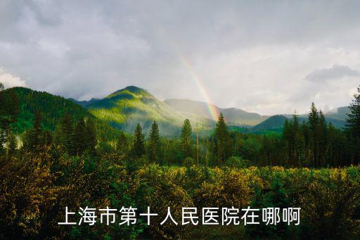上海市第十人民醫(yī)院學(xué)科群，上海市第十人民醫(yī)院在哪啊