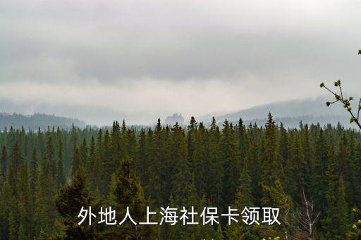 外地人上海社保卡領(lǐng)取