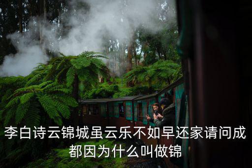 成都市錦承龍婢埔滌邢薰司，詩人杜浦春夜喜雨中的錦宮城指現在的哪里