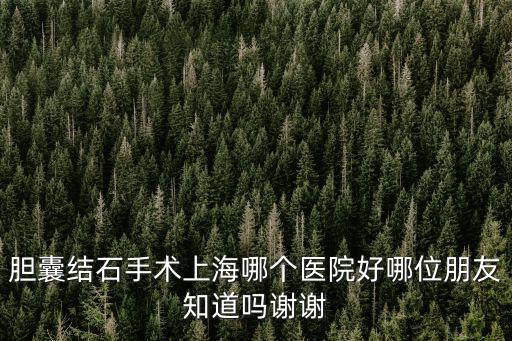 上海市膽結石治療醫院，上海治療膽結石醫院哪家最好