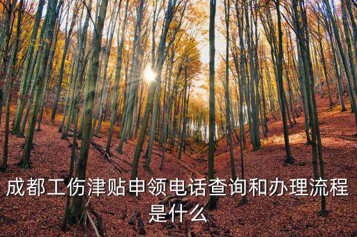 成都市技能補貼咨詢電話，成都工傷津貼申領線上查詢和電話查詢有哪些