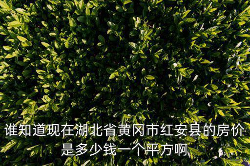 黃岡市哪個(gè)縣城房?jī)r(jià)最低，誰(shuí)知道現(xiàn)在湖北省黃岡市紅安縣的房?jī)r(jià)是多少錢(qián)一個(gè)平方啊