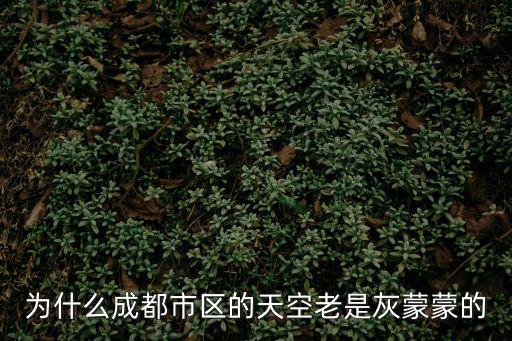 成都市風災，成都三圈層有哪些