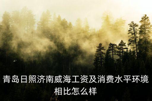 青島日照濟南威海工資及消費水平環(huán)境相比怎么樣