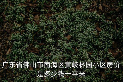 廣東省佛山市南海區黃岐林園小區房價是多少錢一平米