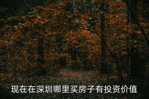 現(xiàn)在在深圳哪里買房子有投資價值