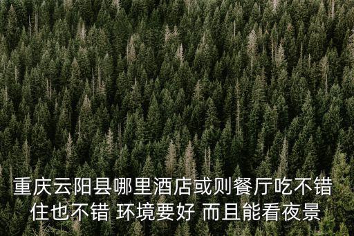 重慶云陽縣哪里酒店或則餐廳吃不錯 住也不錯 環境要好 而且能看夜景
