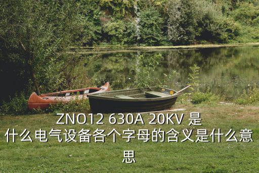 ZNO12 630A 20KV 是什么電氣設備各個字母的含義是什么意思