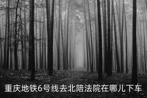 重慶地鐵6號線去北陪法院在哪兒下車