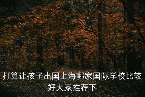 打算讓孩子出國上海哪家國際學校比較好大家推薦下