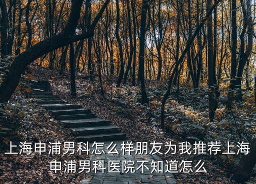 上海市看男科申浦造詣，上海申浦男科怎么樣朋友為我推薦上海申浦男科醫(yī)院不知道怎么