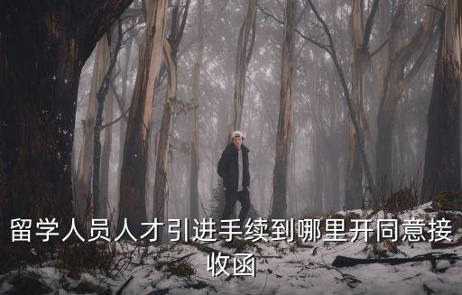 留學生人才引進政策，留學人才引進北京落戶政策2015有年齡限制嗎