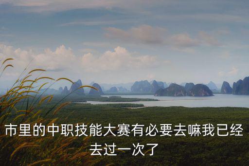 市里的中職技能大賽有必要去嘛我已經(jīng)去過一次了