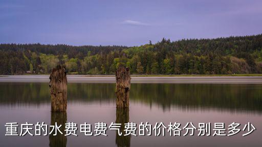 重慶的水費電費氣費的價格分別是多少