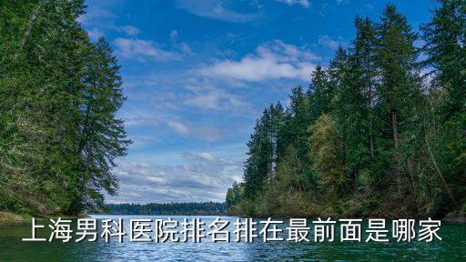 上海男科醫院排名第一，上海男科醫院排名哪家醫院最好