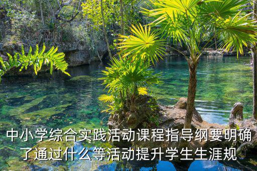 中小學綜合實踐活動課程指導綱要明確了通過什么等活動提升學生生涯規