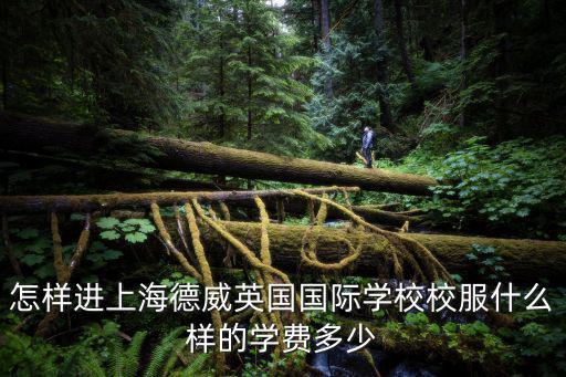 上海國際學校收費標準，上海教科實驗中學的國際部讀完三年高中要大概多少錢