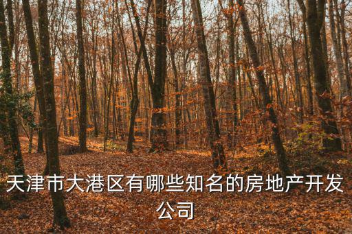天津市大港區有哪些知名的房地產開發公司