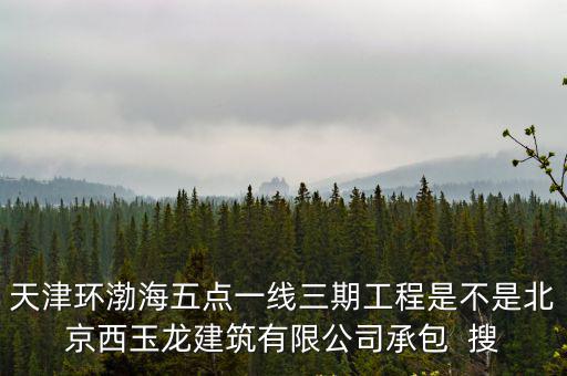 天津環(huán)渤海五點一線三期工程是不是北京西玉龍建筑有限公司承包  搜