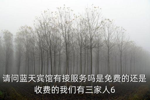 請問藍天賓館有接服務嗎是免費的還是收費的我們有三家人6
