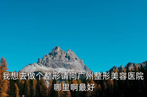 我想去做個整形請問廣州整形美容醫(yī)院 哪里啊最好