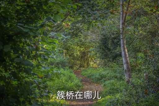 簇橋在哪兒