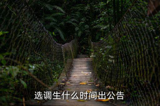 2023各省選調公告，選調生什么時間出公告