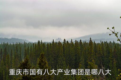 重慶市國有八大產業集團是哪八大