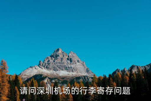 請問深圳機場的行李寄存問題