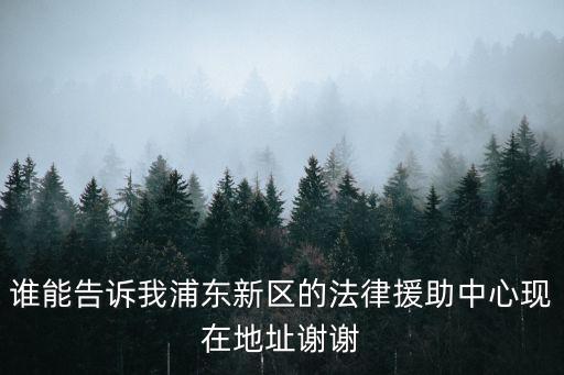 浦東新區(qū)法律援助中心地址，櫻花路429號(hào)浦東新區(qū)工人法律援助中心坐幾號(hào)線地鐵