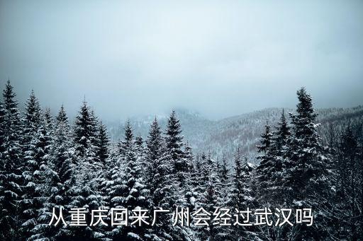 從重慶回來廣州會經過武漢嗎
