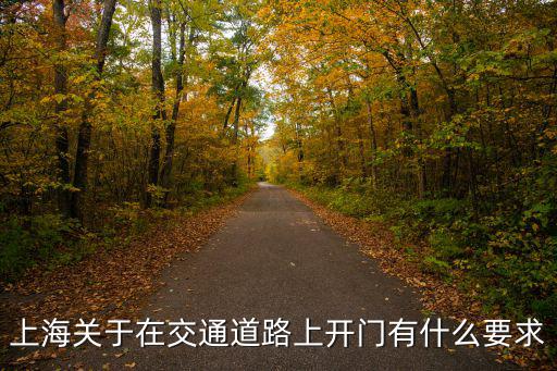 上海市道路開口需辦哪些手續，開車去上海需要辦理什么證件嗎