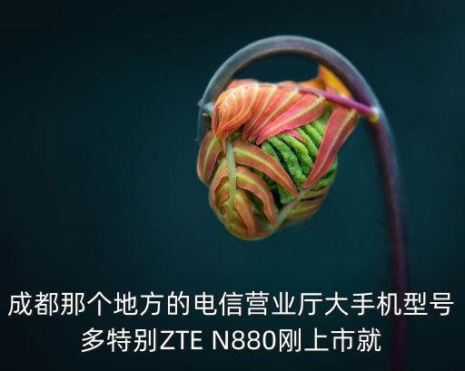 成都那個地方的電信營業廳大手機型號多特別ZTE N880剛上市就
