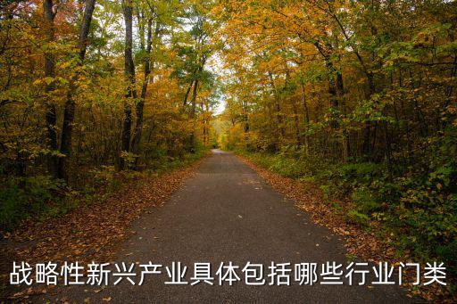 天津市第五批戰略性新興產業，戰略性新興產業是什么