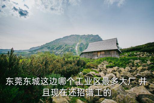 東莞東城這邊哪個工業區最多大廠 并且現在還招譜工的