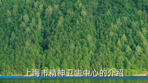 上海市精神衛生中心的介紹
