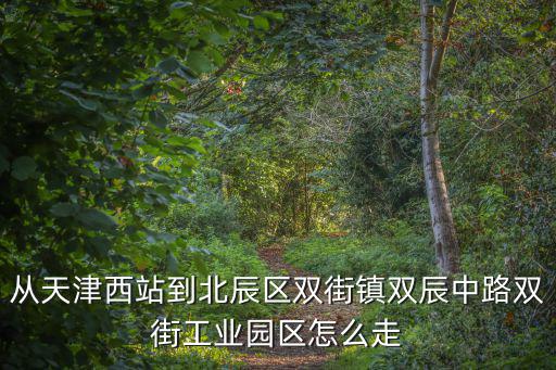 從天津西站到北辰區雙街鎮雙辰中路雙街工業園區怎么走