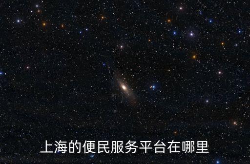 上海的便民服務平臺在哪里
