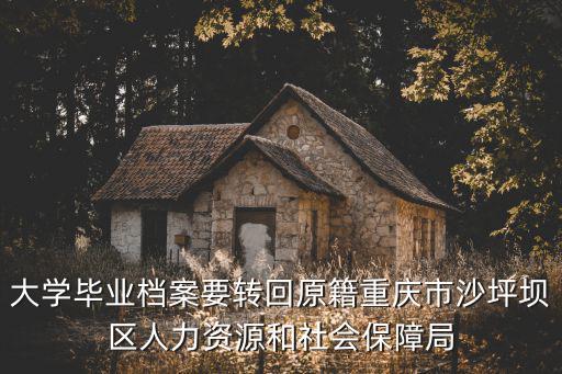 大學畢業檔案要轉回原籍重慶市沙坪壩區人力資源和社會保障局